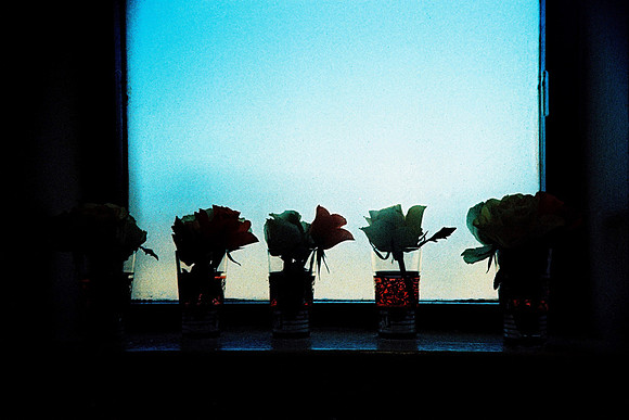 8 days a week, 2008