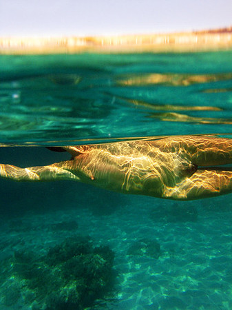 island, 2009