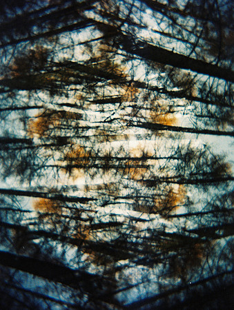 facet, 2013