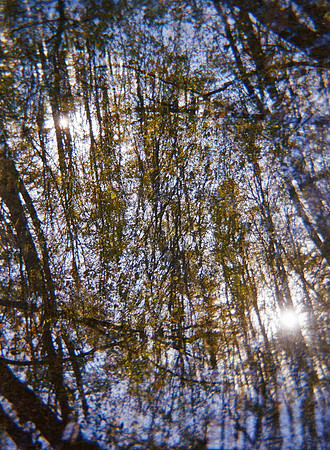 II