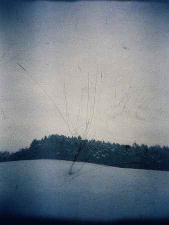 scratched, 2013