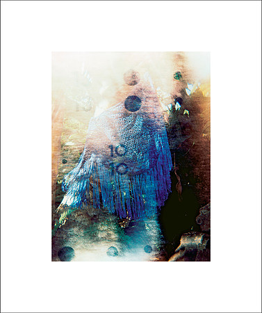 the whisper, 2003