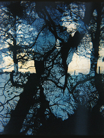 oldeheart, 2013