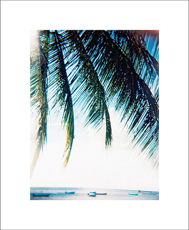 siesta, 2003
