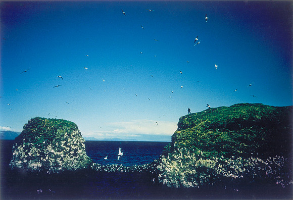 Iceland, 1997