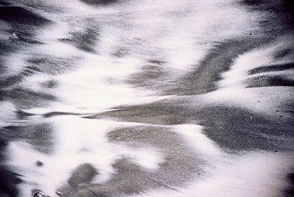 from the ashes, 2011