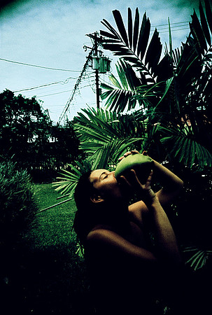 nectar, 2002