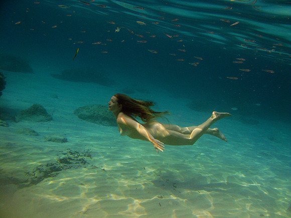 free, 2009