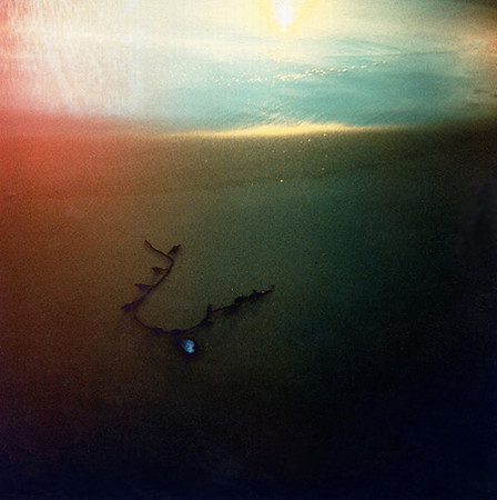 the seer and the unseen, 2010