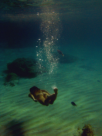 in element, 2009