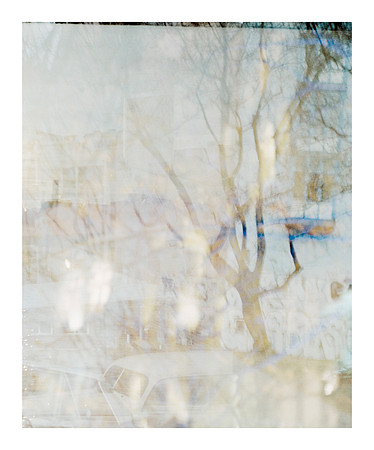 one roll, two cities: # 11, 2014