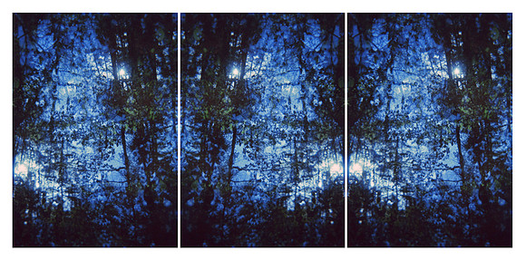 by forest moon, 2014