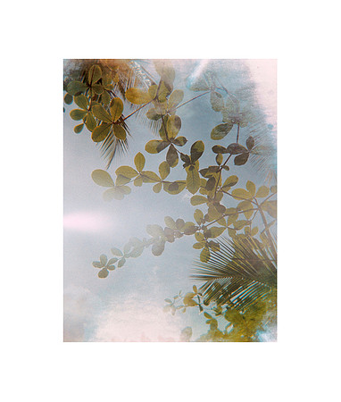 patina, 2003