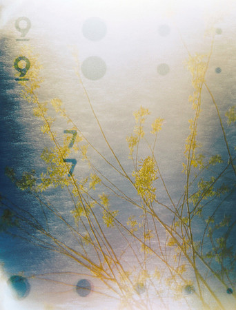 slipstream, 2007