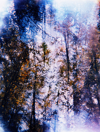 on reflection, 2013