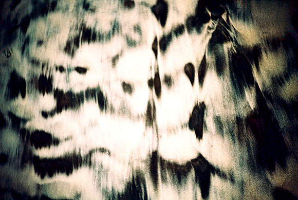 lamb, 2011
