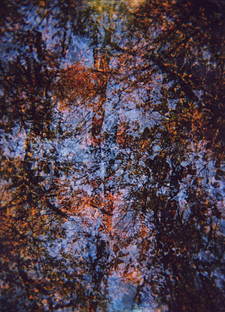 align, 2013