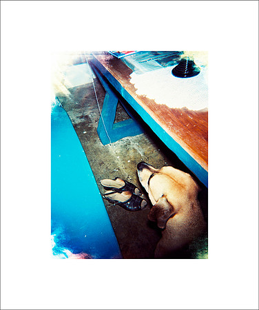 luisa's shoes, 2004